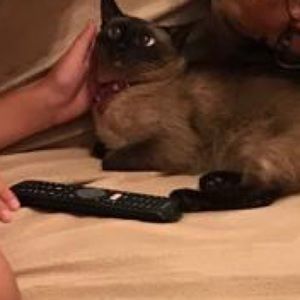 Meet your Posher, Ada